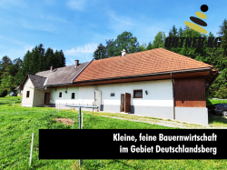 Haus-Bilder