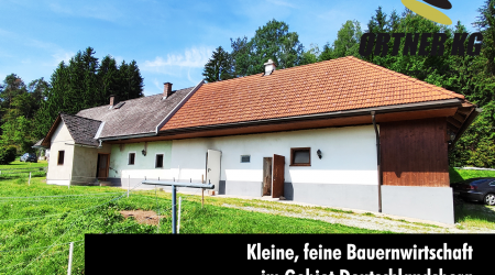 Haus-Bilder